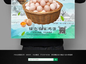土雞蛋廣告掛畫(huà)設(shè)計(jì) 攜手軟件開(kāi)發(fā)呈現(xiàn)