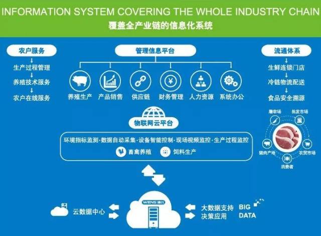 溫氏攜手金蝶成立互聯網科技公司 布局數據服務，加速農業數字化
